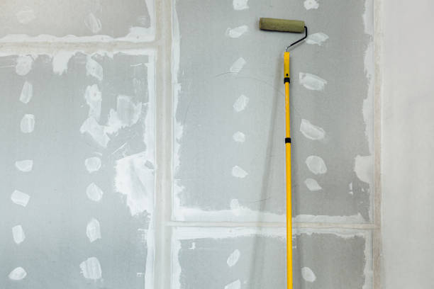 Best Black Mold Removal  in Tyler Run, PA